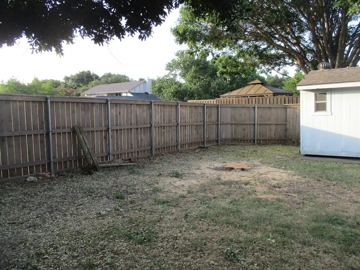 Cleared yard after professional tree removal in Homestead